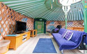 Green Yurt With Hot Tub - Sleeps 4 Parking & Pets